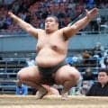 救急車で搬送された夢之富士は休場へ　脳震盪で頭痛と吐き気