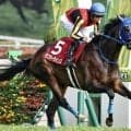 アルアイン産駒に勢い！ ラフターラインズが父にGIタイトルを届けるか