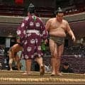 熱烈タイガースファンの朝阪神、意地の今場所初勝利【大相撲夏場所】