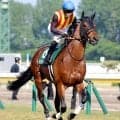 新潟大賞典４着のドゥラドーレスは右前脚の骨折が判明　社台グループオーナーズが発表