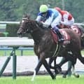 【安田記念想定】アドマイヤズーム、ワールズエンドなど18頭
