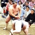 ４１歳の玉鷲が９連敗のあと２連勝　金峰山に勝ち、幕内勝ち星を７１４とし、稀勢の里と並び歴代７位に