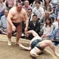 友風が得意のはたき込みで６勝目　「はたき込みについて賛否両論あるのは、わかっていますが、一生懸命にやっている結果です」