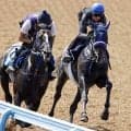 【日本ダービー・１週前】アウダーシア半馬身遅れるも初コンビのレーン騎手は好感触　「いい脚を見せてくれた」