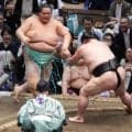 大関琴桜　正代に難なく送り出されて11日目に負け越し…来場所はカド番に