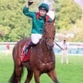 昨年の凱旋門賞馬ダリズ　あす注目の今年２戦目　５頭立てＧ１のアガ・カーン４世賞でも衝撃の末脚発揮なるか