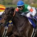 史上3組目の母仔オークス制覇なるか アランカールが武豊騎手で挑む