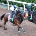 【Ｇ１トク捜リレー】栗東・松ケ下記者のオークス注目は？　樫の女王の背中知るトレーナーがひと工夫を加えた無傷２連勝馬
