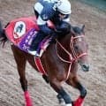 【凱旋門賞】サウジＣ連覇のフォーエバーヤングなどＪＲＡ所属馬７頭が登録　クロワデュノールは登録せず