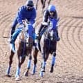 【オークス】トライアルＶの勢い維持！馬なりで半馬身先着したラフターラインズにレーン騎手「余裕をもっていい仕上がり」