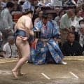 「え、ちょっと待って」力士の背後に“66歳男性レジェンド”の姿 ネクタイ着用で客席に馴染む姿にファン驚き「先生発見」「映ってる！！」