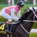 【平安S】27年ぶりの重賞勝利“ヲ”飾れるか ジューンアヲニヨシに要注目