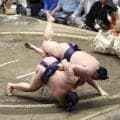 義ノ富士「強引にいきすぎた」も…７連勝でＶ争い残った！付け人の嵐富士との同日勝ち越しを喜ぶ