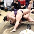 幕内・義ノ富士が７連勝で勝ち越し「まだまだ勝っていきたい」　付け人の嵐富士の新十両昇進に前進する白星にも喜び
