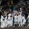 【データ】阪神、７点差以上の逆転勝ちは８度目　そのうち最も多いのは…中日戦の３度