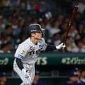 【阪神】坂本誠志郎バットで猛威　途中出場で２点打２本「１点でも入れば一体となって空気作れる」
