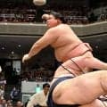宇良　３場所ぶり勝ち越し　若ノ勝を逆転肩透かし　１差追走でダークホースに「まだまだ頑張ります」