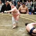 宇良ァ～３敗死守　年長３位初Ｖへ３３歳業師が驚異的な粘り腰...若ノ勝をエビ反り逆転
