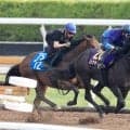 【日本ダービー・１週前】皐月賞馬ロブチェンは２４００メートルでも「崩れるイメージはあまりない」