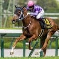 今村聖奈騎手がJRA所属女性ジョッキー初のGI制覇へ ジュウリョクピエロでオークス参戦だ