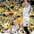 B3香川ファイブアローズ、初の王座に一歩届かず　4186人が声援