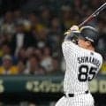 「もう、なんかすごいな」7点差をひっくり返した試合で注目された、阪神新“代打の切り札”育成→支配下「打ってくれそうな気配をプンプン感じる」「来季のDH制にも」