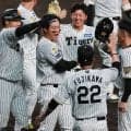 【阪神】７点差追いつく驚異のパワー「スコアボード見て長く見えた」藤川監督も驚嘆の逆転勝ち