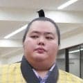 琴桜は場所前に腰を痛めていた　休場について佐渡ケ嶽親方が説明
