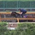 アドマイヤズーム、安田記念2週前追い切り速報/栗東トレセンニュース