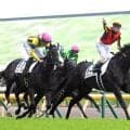宝塚記念ファン投票の第２回中間発表　クロワデュノールが２６万３２９２票で首位をキープ　２位も昨年覇者で変わらず