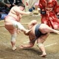 藤凌駕が痛い４敗目「相手が１枚も２枚も上手だった」宇良に敗れる…優勝争いから後退