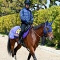 【注目馬動向】安田記念を目指すレーベンスティールは戸崎圭太騎手に決定　シックスペンスも同Ｇ１を目指す
