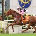 香港名は「永遠美麗」２４年チャンピオンズマイル制覇のビューティーエターナルが引退　地元の英雄を破って生涯唯一のＧ１勝利