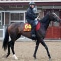 【Ｇ１トク捜リレー】桜花賞で崩れた良血馬　イシゴー記者は無敗の東京で逆転があると注目　オークス