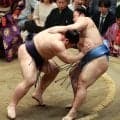 翔猿は３敗目…日大の後輩・義ノ富士は「強いっす」22日は５連敗中の若隆景と“３敗対決”へ
