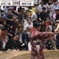 「目立ちすぎます」大相撲で突如、向正面を横切るタレントの姿にファン驚き