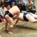 若隆景　豪ノ山との３敗同士対決制し９勝目　優勝争いトップと１差も「全く考えていない」