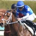 全兄はアリストテレス コンフェルマが1年1カ月ぶり復帰戦で障害デビューだ