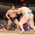 【夏場所解説】霧島はもっと自分から攻める気持ちを　武蔵川親方「負けた２番と内容が似ているんだ」