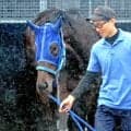 【オークス】ラフターラインズは後入れの８枠１８番　小笠調教師は前向き「大外は極端ですが、偶数なのでよかった」