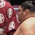 「すげーフォルム」182キロの“まん丸”序二段力士 驚異の体躯に驚きの声 巨漢生かしてがっちり5勝目