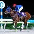 【平安S枠順確定】ナルカミは8枠15番、ロードクロンヌは7枠14番