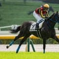 【競馬予想】オークスを勝つのは桜花賞組か、別路線組か？　ガラッと一変した「３歳牝馬ランキング」