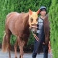 【オークス・金曜気配】スターアニスは活気十分に最終調整完了　高野調教師「カイバ食いがむっちゃ良かった」