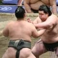 １８歳・翔盛が序二段優勝「２３歳までに関取になって、母校で親方の次に有名になりたい」