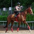 【オークス・金曜気配】堅実さが光るアメティスタは金曜に東京競馬場へ輸送　牧浦調教師「距離はあった方がいい」