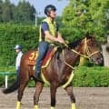 【オークス・金曜気配】抽選突破のスタニングレディは申し分ない出来　陣営「目いっぱいに仕上がっています」