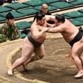元十両の木竜皇が三段目７戦全勝、“史上最強の新弟子”旭富士との優勝決定戦の可能性も平常心【大相撲夏場所】
