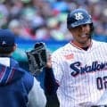 「待ってたよ！！！」ヤクルト・モンテルの支配下契約に期待の声集まる「マジでチャンスだから頑張れ」高い身体能力を生かせるか