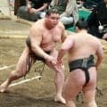 旭富士が元十両の三田に勝って７戦全勝　三段目優勝決定戦は木竜皇と対戦